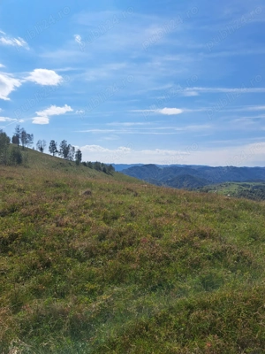 Vand teren pe transalpina de apuseni (râmeț) - imagine 5