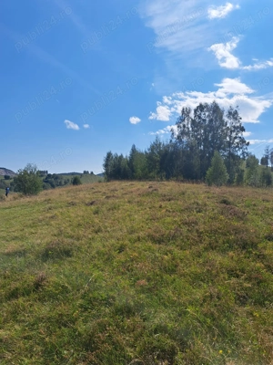 Vand teren pe transalpina de apuseni (râmeț) - imagine 2