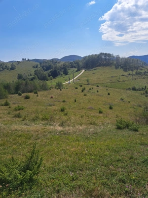 Vand teren pe transalpina de apuseni (râmeț) - imagine 7