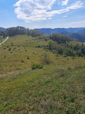 Vand teren pe transalpina de apuseni (râmeț) - imagine 8