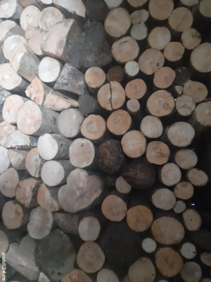 vand lemne de foc fag si molid la cele mai bune preturi 