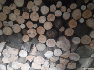 vand lemne de foc fag si molid la cele mai bune preturi