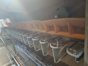 Vând sala de muls oi - imagine 3