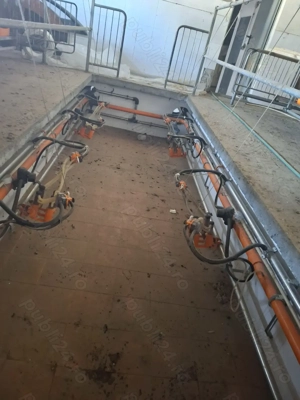 Vând sala de muls oi