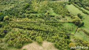 Teren extravilan - imagine 5