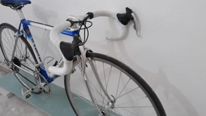 Cursiera  Le Taureau