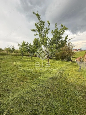 Teren Intravila Zona Centura - str. Livezi - imagine 8