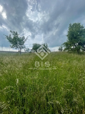 Teren Intravila Zona Centura - str. Livezi - imagine 18