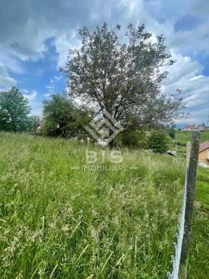 Teren Intravila Zona Centura - str. Livezi - imagine 17