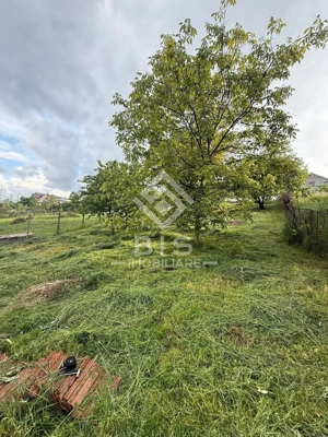 Teren Intravila Zona Centura - str. Livezi - imagine 7