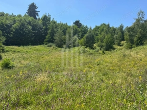 Teren intravilan 4600mp - 55 EUR/mp - EXCLUSIVITATE CISNADIOARA - COMISION 0% - imagine 6