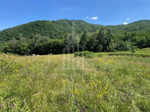 Teren intravilan 4600mp - 55 EUR/mp - EXCLUSIVITATE CISNADIOARA - COMISION 0% - imagine 11