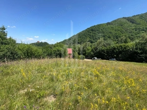 Teren intravilan 4600mp - 55 EUR/mp - EXCLUSIVITATE CISNADIOARA - COMISION 0% - imagine 8