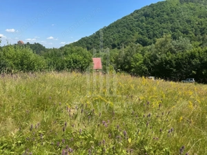 Teren intravilan 4600mp - 55 EUR/mp - EXCLUSIVITATE CISNADIOARA - COMISION 0% - imagine 13