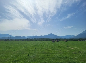 Teren de vânzare extravilan,Tohanu Nou Zărnești.  - imagine 3