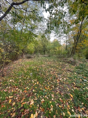 Teren in apropierea autostrazii Pitesti-Sibiu  - imagine 5