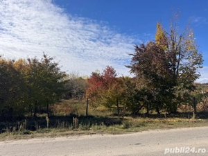 Teren la strada principala sat Rudeni 