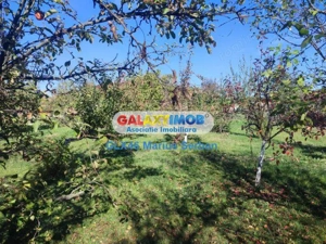 Vanzare casa Petresti Dambovita - imagine 19