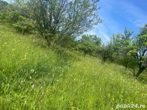 Teren cu peisaj superb in apropierea autostrazii Pitesti Sibiu