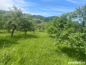 Teren cu peisaj superb in apropierea autostrazii Pitesti Sibiu  - imagine 4