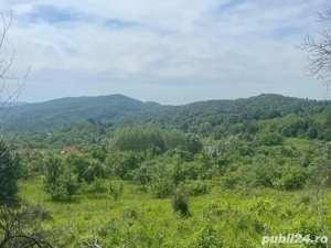 Teren cu peisaj superb in apropierea autostrazii Pitesti Sibiu  - imagine 2