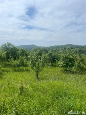 Teren cu peisaj superb in apropierea autostrazii Pitesti Sibiu  - imagine 5