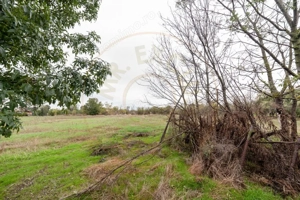 Casa traditionala la tara in Gliganu de Jos Com. Rociu-Arges la 30 km de Pitesti - imagine 15