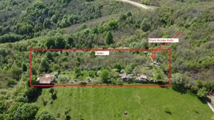 Teren intravilan 2.500 mp cu vie, pomi fructiferi și construcții   Orșova, DN57 spre Ieșelnița - imagine 3