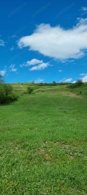 Teren zona com. Sanpaul, jud. Cluj