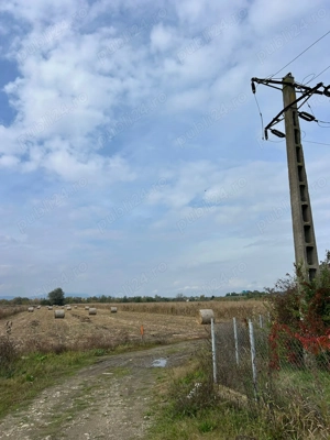 Vand parcele de teren 1000mp pentru hale atelier depozit - imagine 2