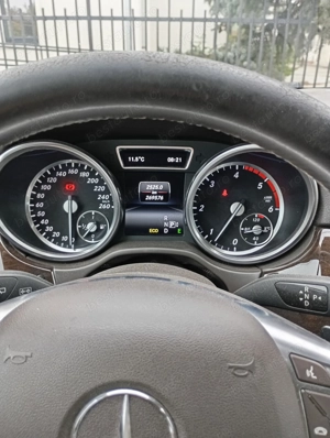 ML 250 2014 W166 .  - imagine 10
