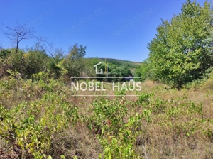 Teren 6200 mp, intravilan, sat Bogesti, comuna Pogana - imagine 2