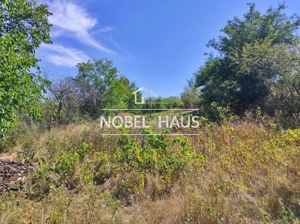 Teren 6200 mp, intravilan, sat Bogesti, comuna Pogana - imagine 4