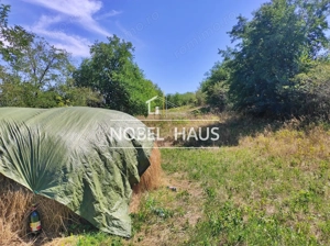 Teren 6200 mp, intravilan, sat Bogesti, comuna Pogana - imagine 3