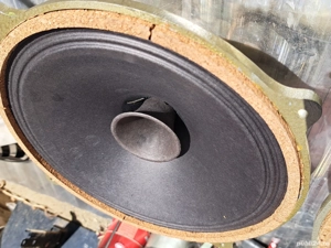 Difuzoare rare alnico vechi  full range
