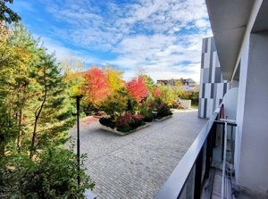 Iancu Nicolae- Gradina Zoologica- Jolie Ville- Loc parcare - imagine 5