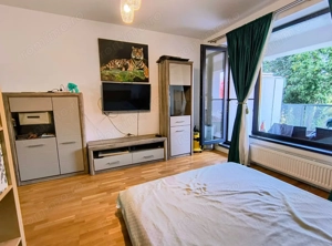 Iancu Nicolae- Gradina Zoologica- Jolie Ville- Loc parcare - imagine 3