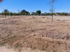 De vânzare teren intravilan   Teiu Vale, jud. Argeș - imagine 3