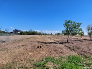 De vânzare teren intravilan   Teiu Vale, jud. Argeș - imagine 4