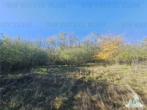 SUPER-PRET Teren 1ha intravilan intre A0, padure si raul Sabar