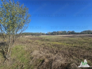 SUPER-PRET Teren 1ha intravilan intre A0, padure si raul Sabar - imagine 4