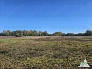 SUPER-PRET Teren 1ha intravilan intre A0, padure si raul Sabar - imagine 2