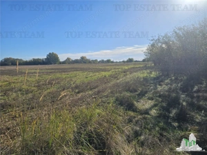 SUPER-PRET Teren 1ha intravilan intre A0, padure si raul Sabar - imagine 3