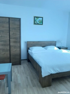 Cazare Craciun 2025 , Transfagarasean  - imagine 2