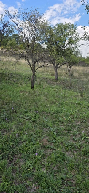 Loturi de teren  - imagine 4