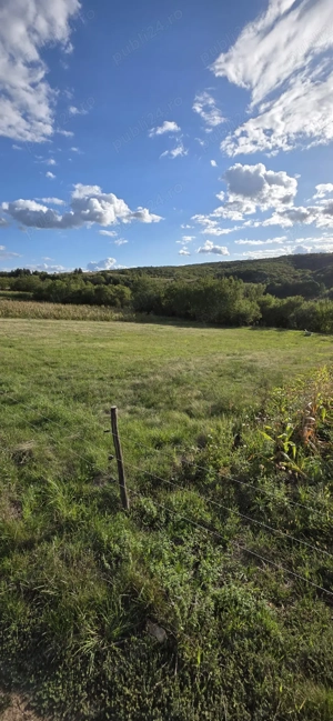 Loturi de teren  - imagine 7