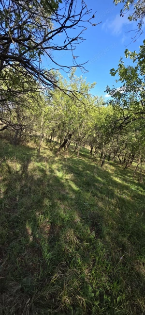 Loturi de teren  - imagine 5