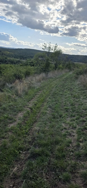 Loturi de teren  - imagine 8