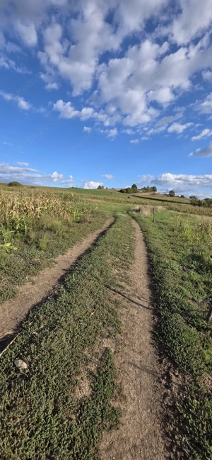 Loturi de teren  - imagine 9