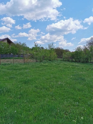 Teren Barnova intravilan - imagine 3